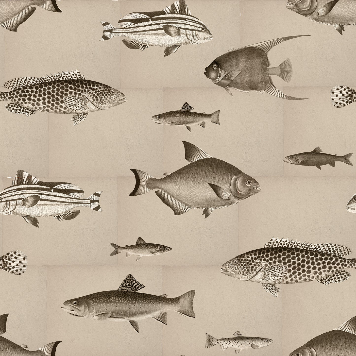 Antique Fishes