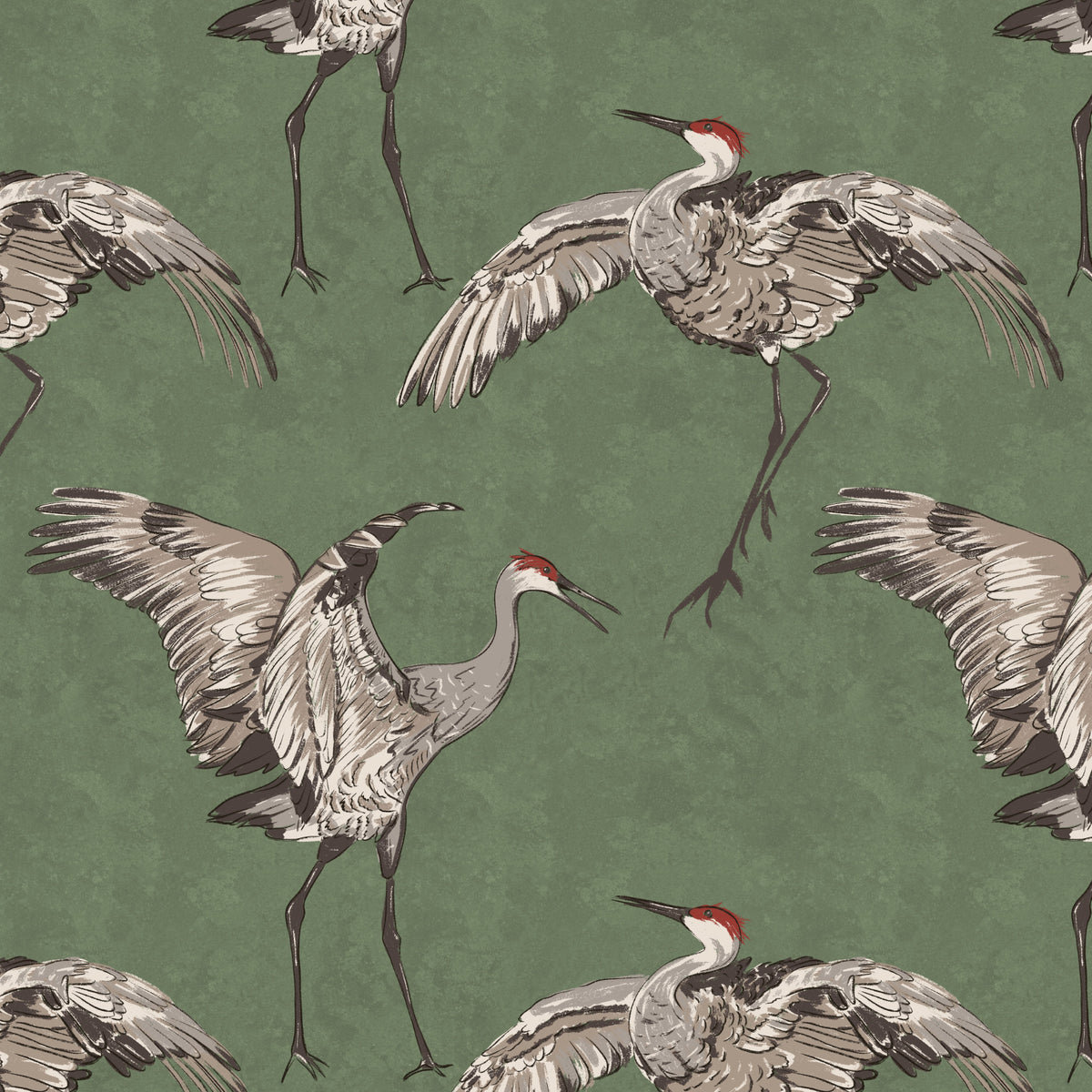 Crane bird wallpaper design in green