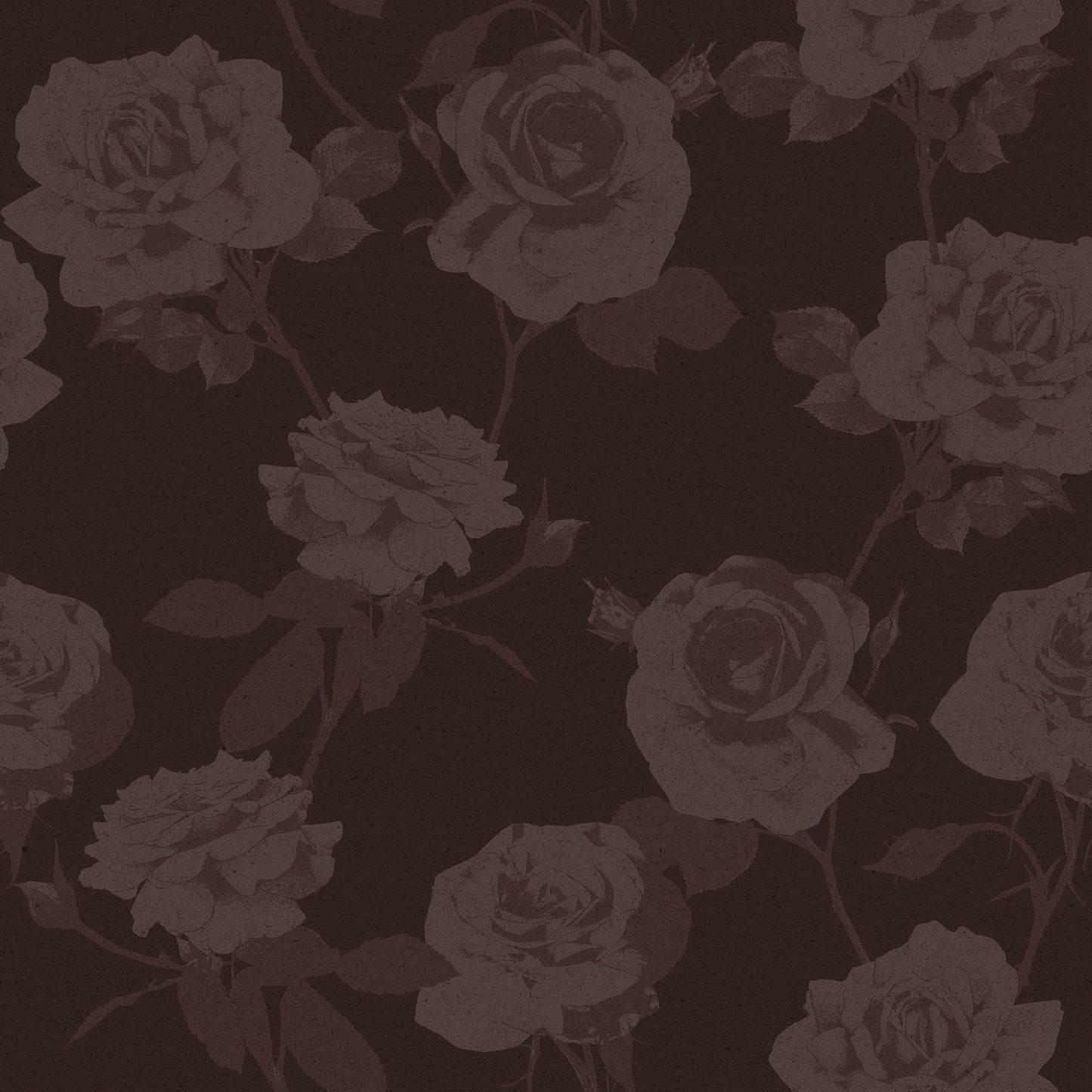 Rose Garden