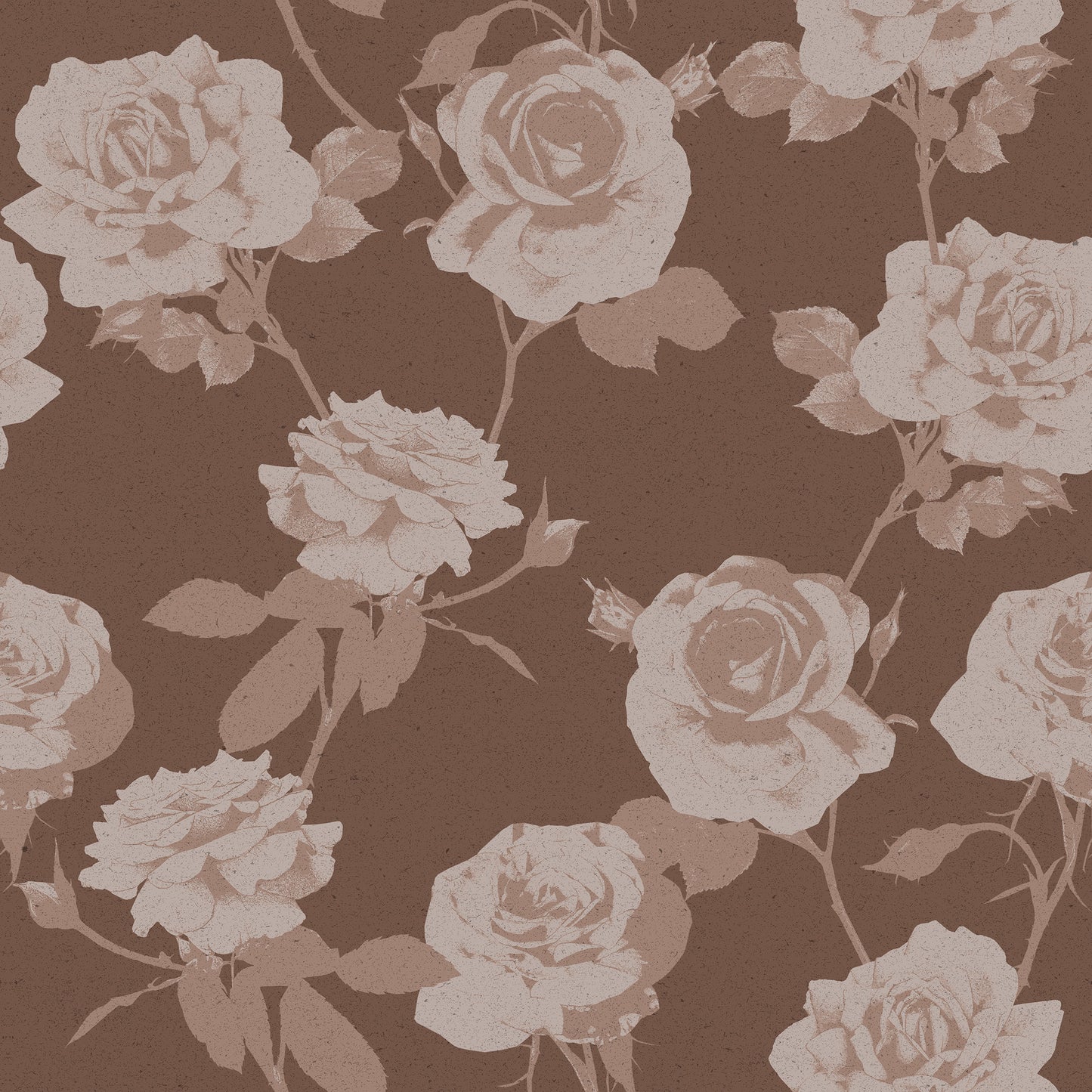 Rose Garden