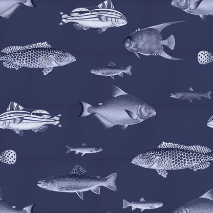 Antique Fishes