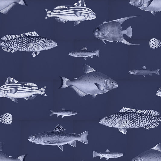 Antique Fishes