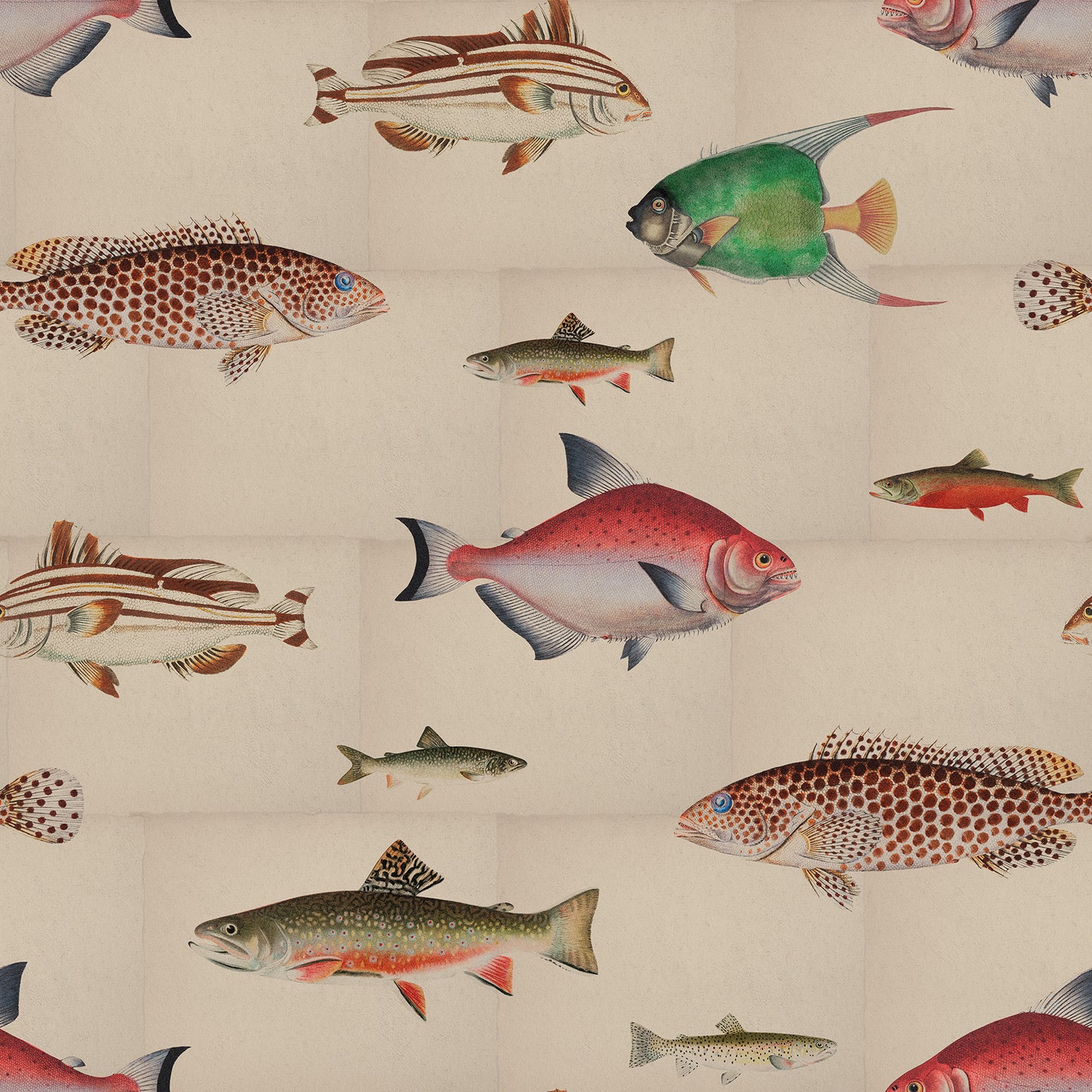 Antique Fishes