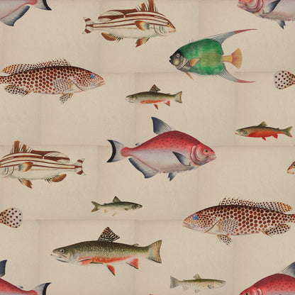 Antique Fishes