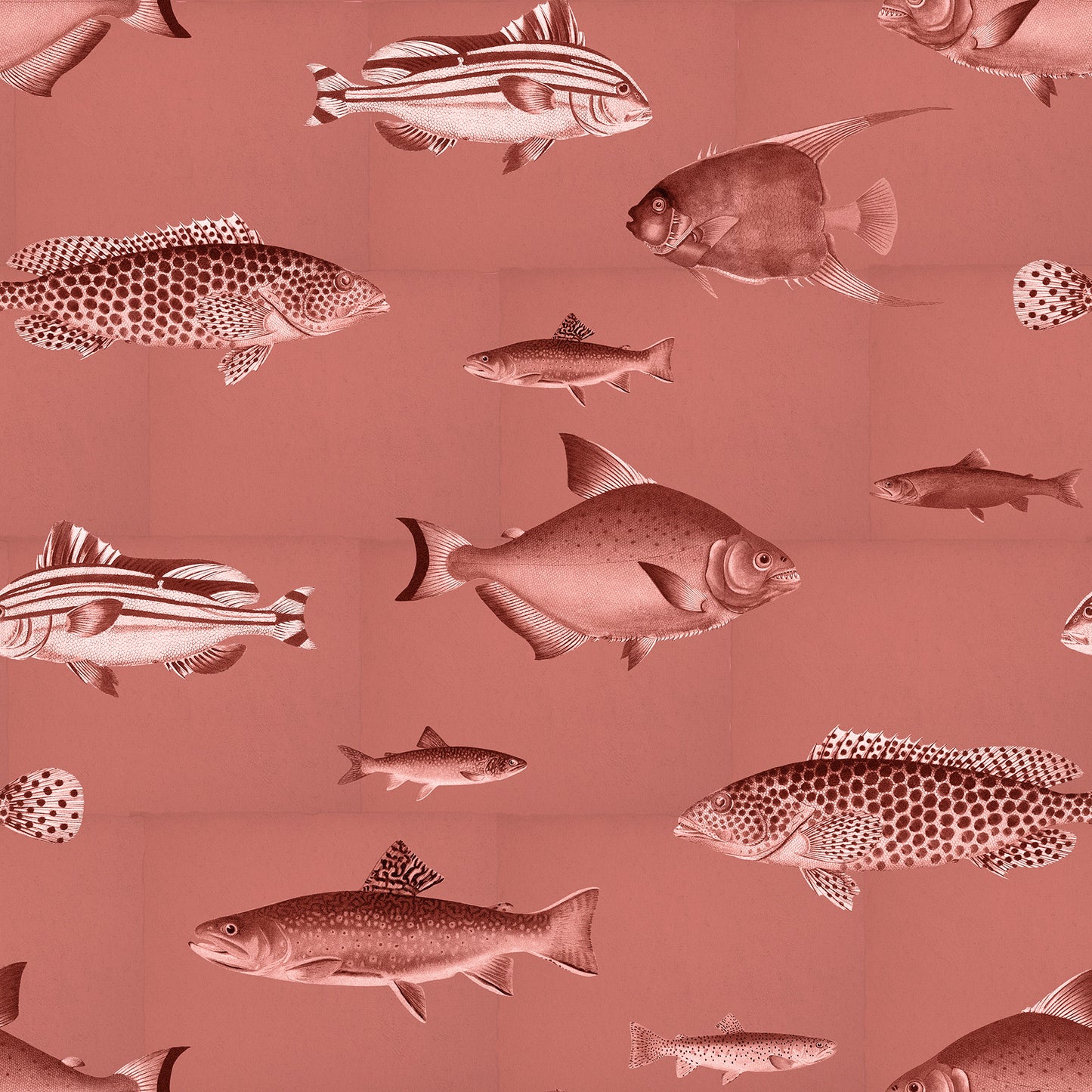 Antique Fishes