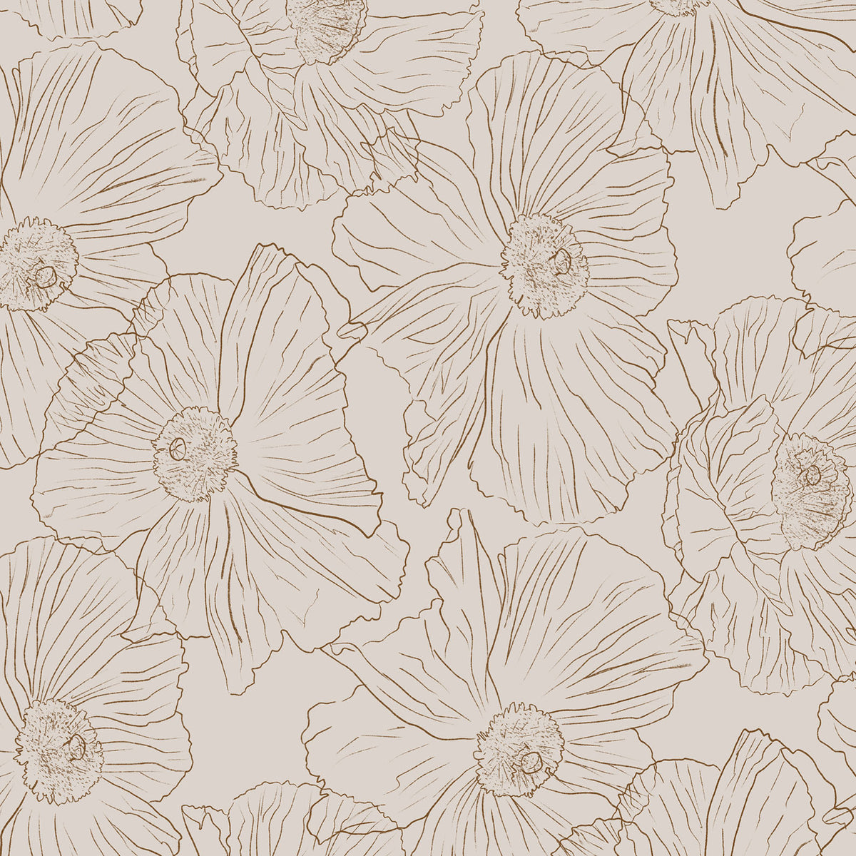 Romneya line art floral wallpaper in brown on beige