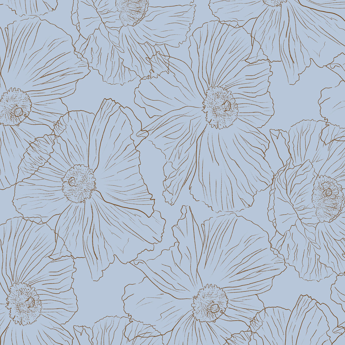 Romneya line art floral wallpaper in brown on pale blue