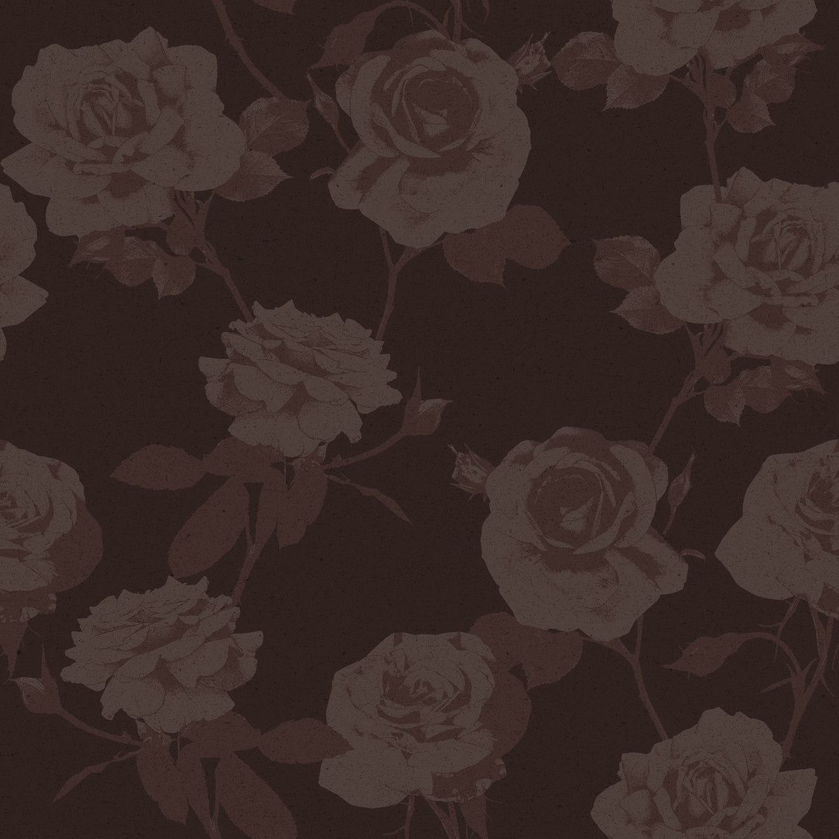 Rose wallpaper in dark chocolate brown