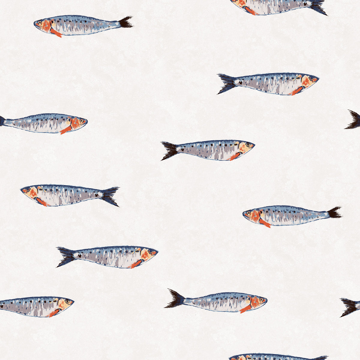 Hand-drawn sardine wallpaper in white