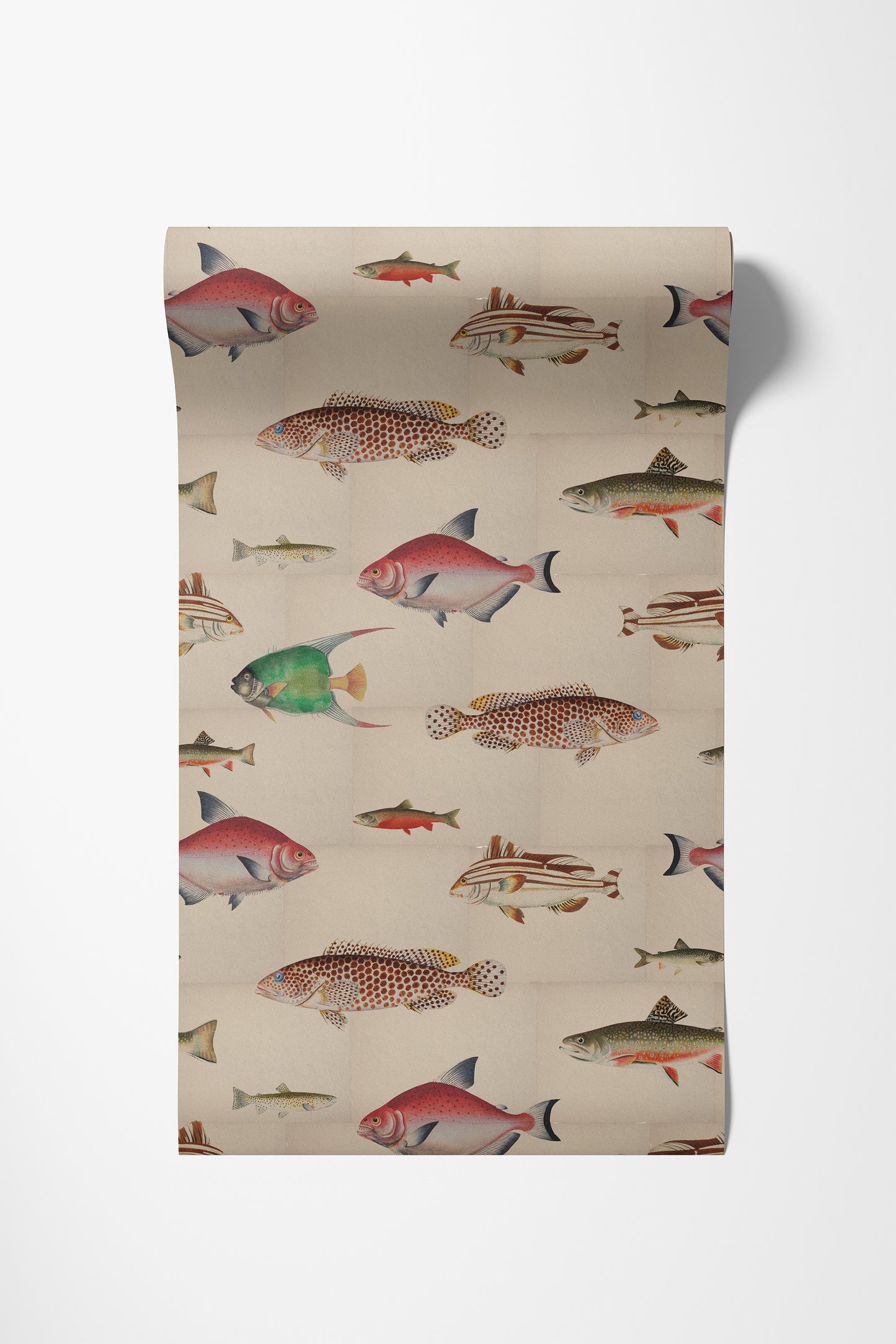 Antique Fishes