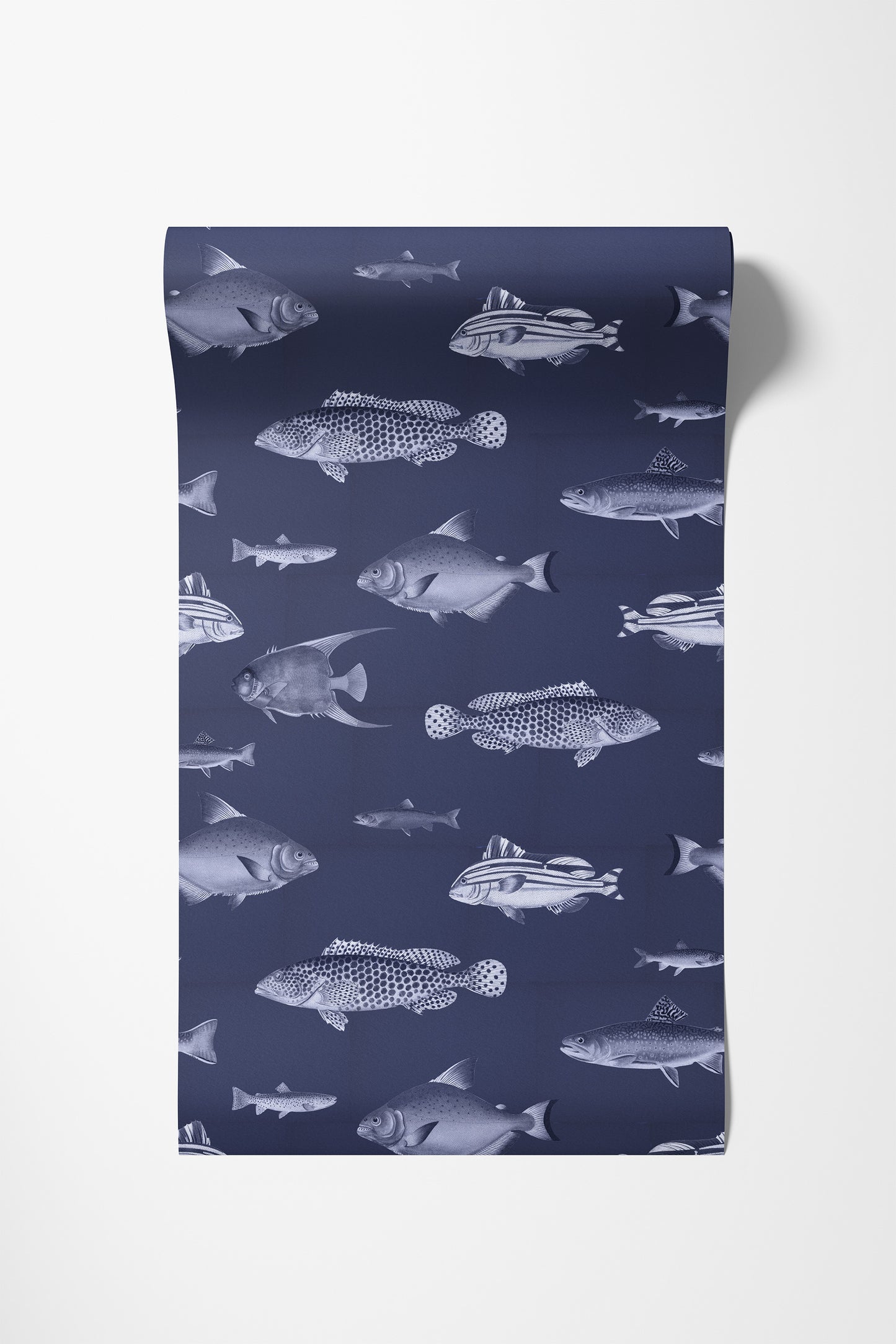 Antique Fishes