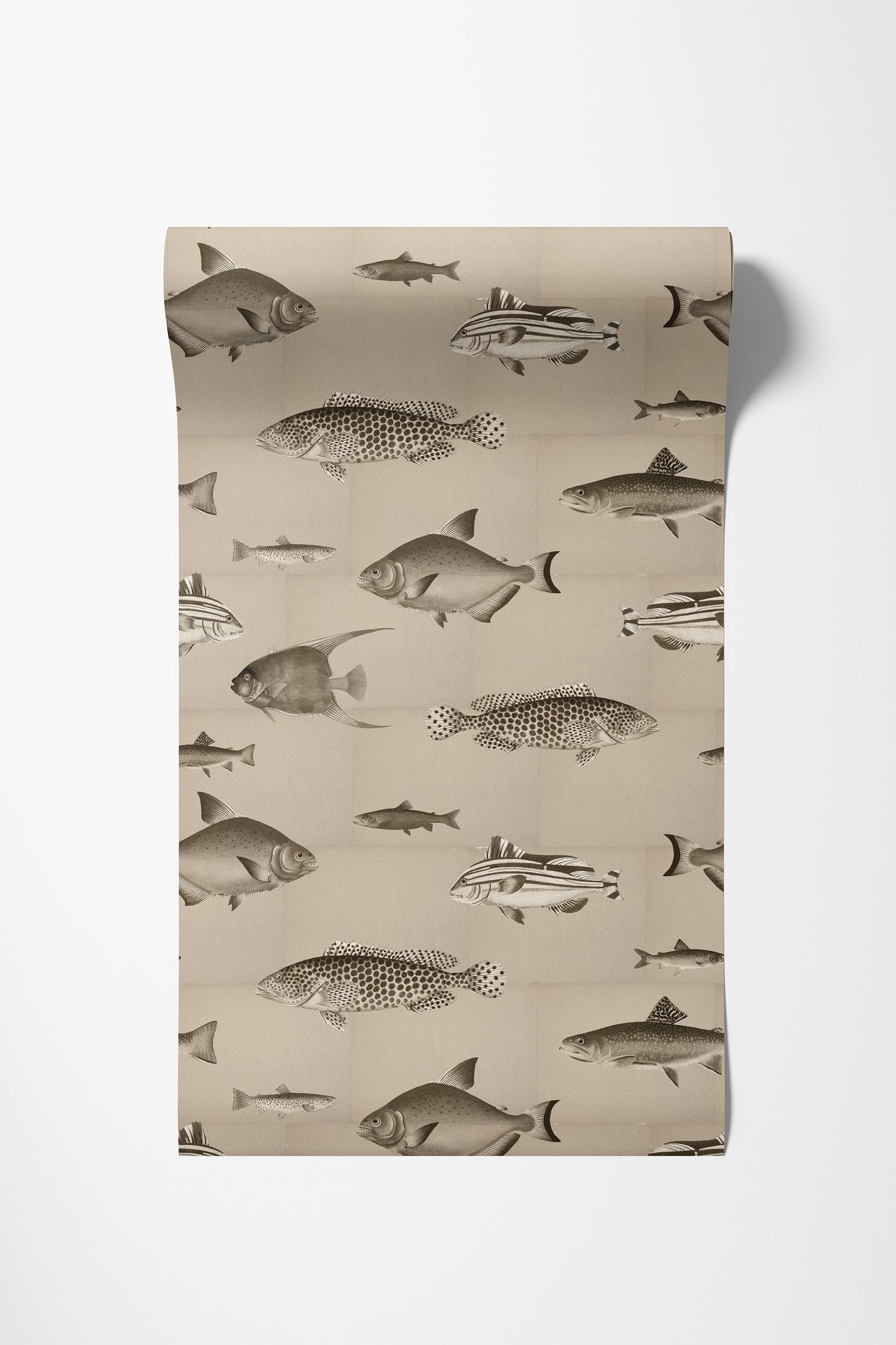 Antique Fishes