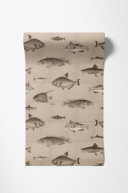 Antique Fishes
